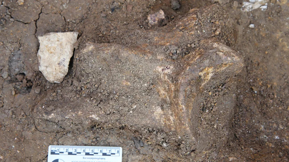 Ten Breakthrough Discoveries About Our Human Ancestors in 2025