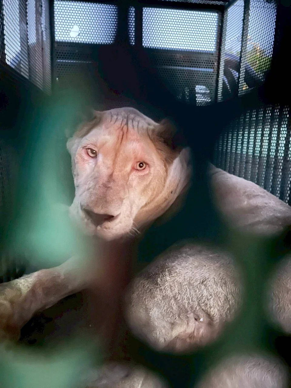 Thailand Strikes Cambodian Village During Border Talks as Tensions Escalate