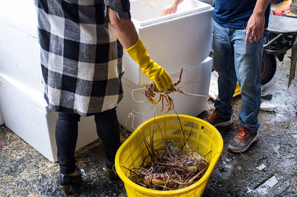 Nearly $400K In Live Lobsters Hijacked En Route To Costco; FBI Probes Suspected Organized Cargo Theft