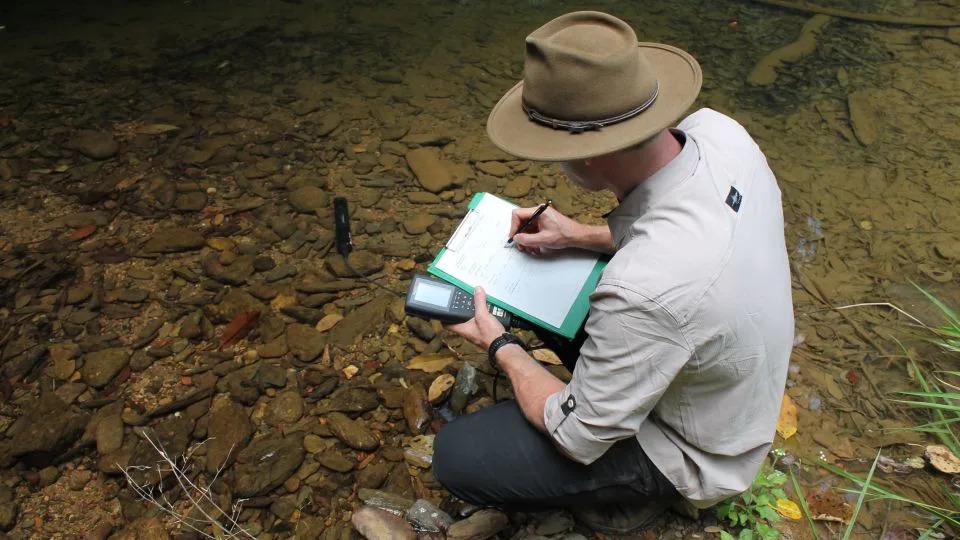 Tiny Ancient Bloomfield River Cod Faces Extinction After Cyclone and Invasive Fish