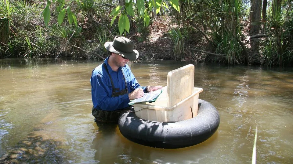 Tiny Ancient Bloomfield River Cod Faces Extinction After Cyclone and Invasive Fish