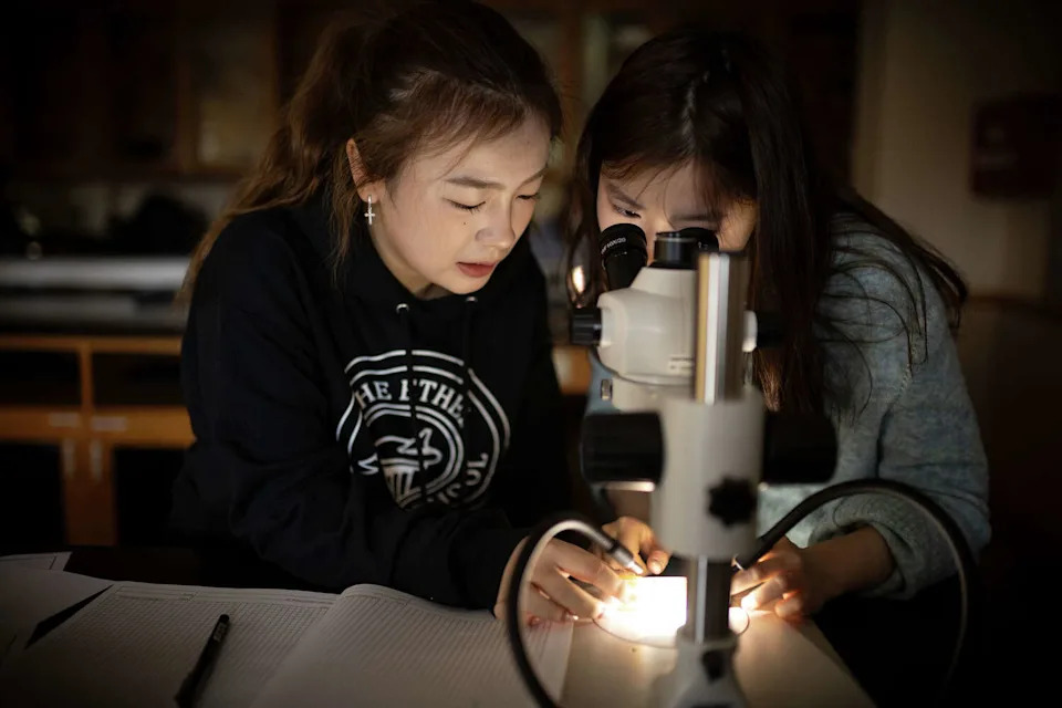 High School Researchers at Ethel Walker Create Fruit Fly Strains That Advance Stanford-Linked Diabetes Research
