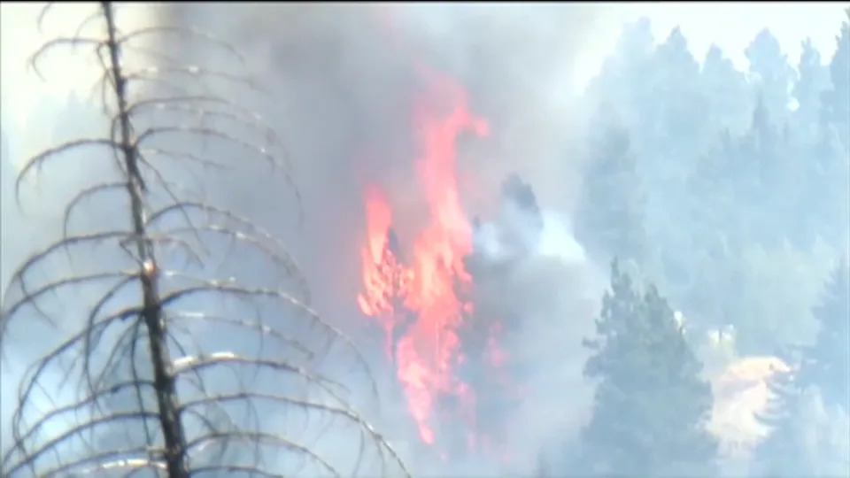 Global CO2 Hits Record High in 2024 — Scientists Warn of More Severe Climate Disasters