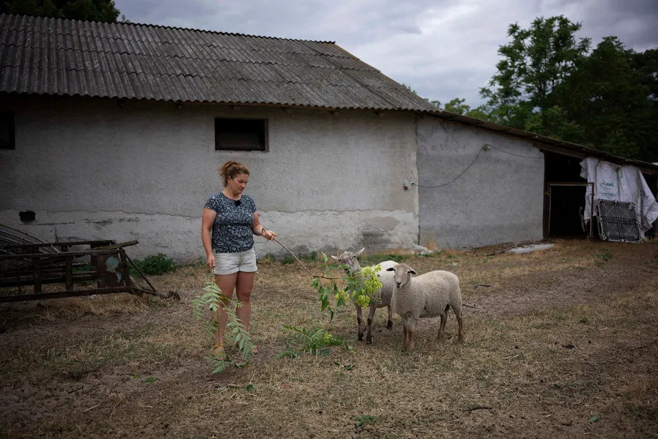 Hungarian Farmers Use Thermal Spa Overflow to Rebuild Wetlands and Fight Desertification