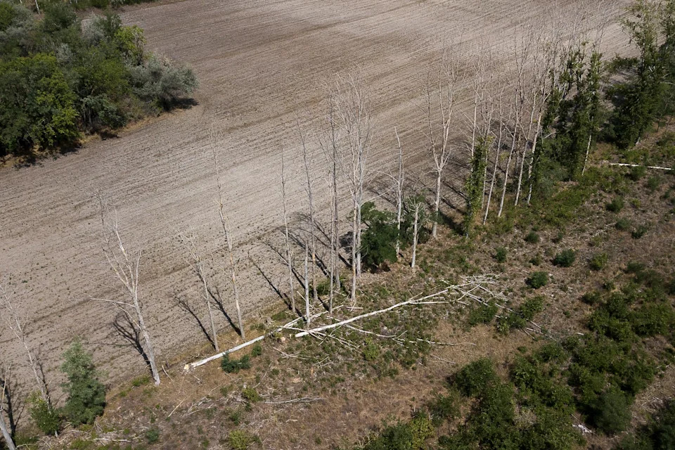 Hungarian Farmers Use Thermal Spa Overflow to Rebuild Wetlands and Fight Desertification