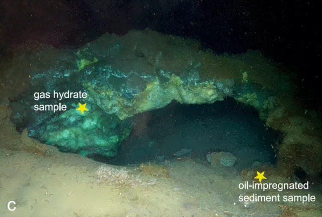 World’s Deepest Gas-Hydrate Cold Seep Found Off Greenland — A Hidden, Life-Rich Carbon Reservoir