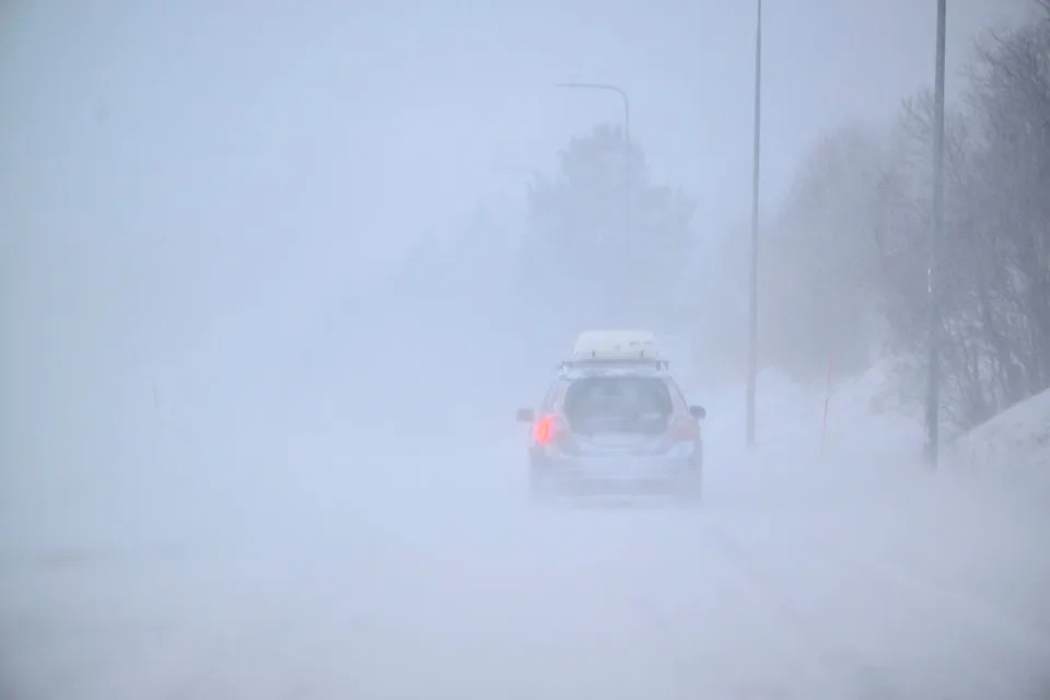 Storm Johannes Kills At Least Three in Sweden as Hurricane-Force Winds Topple Thousands of Trees