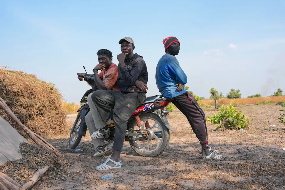 Young Africans Return to Farming as City Life Becomes Unsustainable