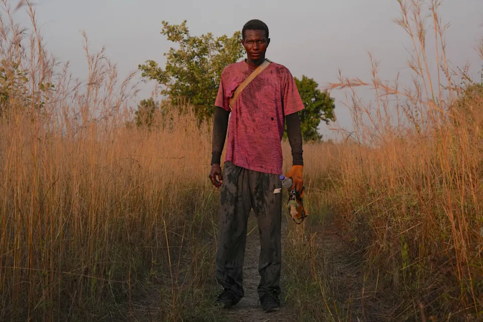 Young Africans Return to Farming as City Life Becomes Unsustainable