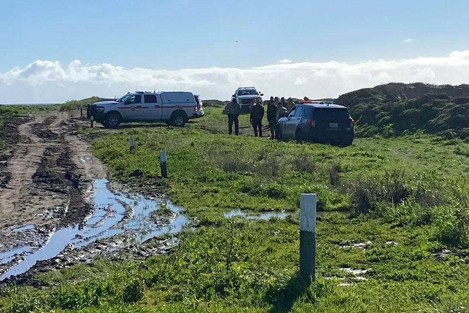 Body Recovered Near Davenport Beach Identified by Family as Missing Swimmer Erica Fox After Suspected Shark Sighting