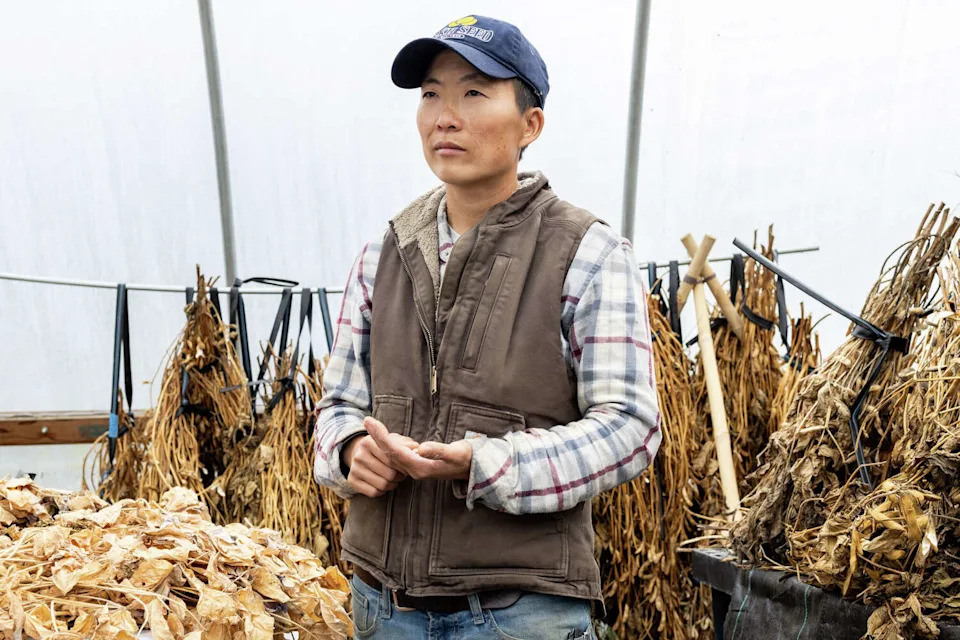 Seed Guardians: Bay Area Asian American Farmers Preserve Heirloom Seeds for Culture and Climate