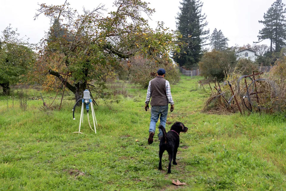 Seed Guardians: Bay Area Asian American Farmers Preserve Heirloom Seeds for Culture and Climate