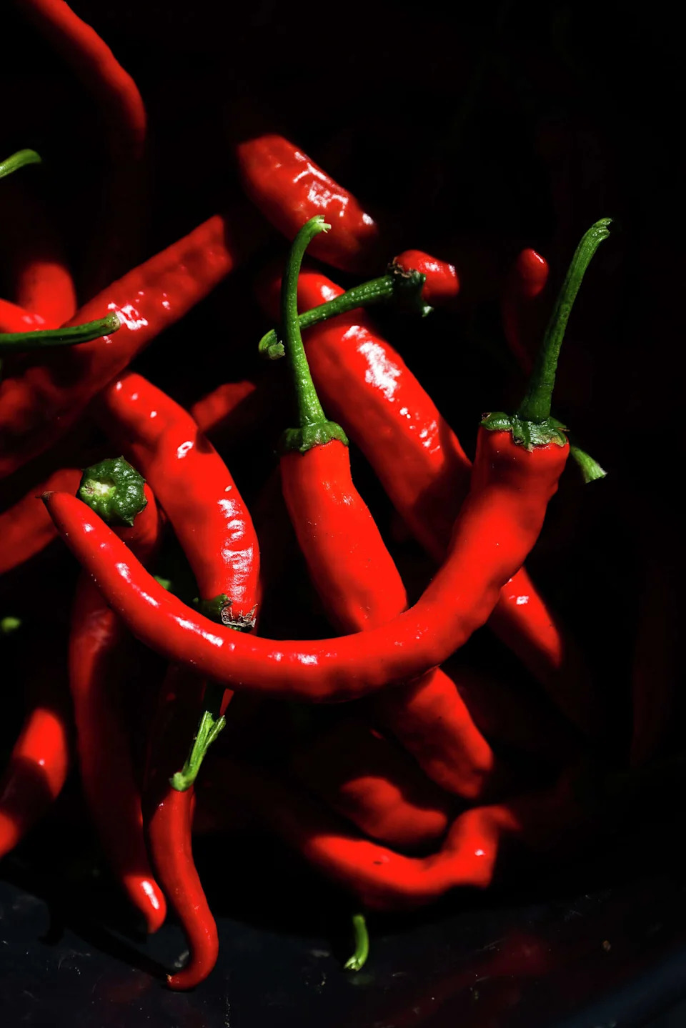 Seed Guardians: Bay Area Asian American Farmers Preserve Heirloom Seeds for Culture and Climate