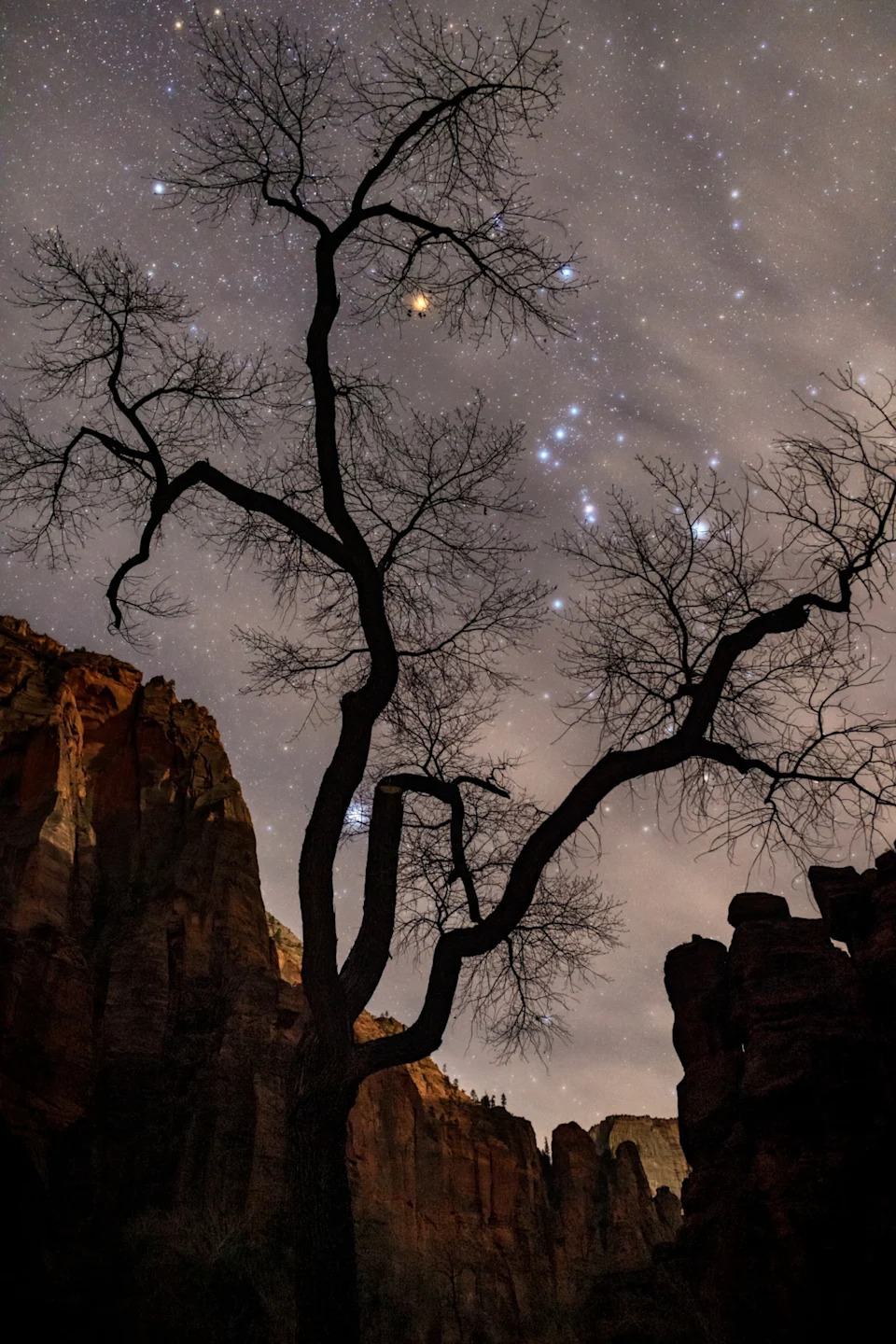 10 Must-See Night-Sky Events in January — From a Supermoon to Jupiter’s Best Showing