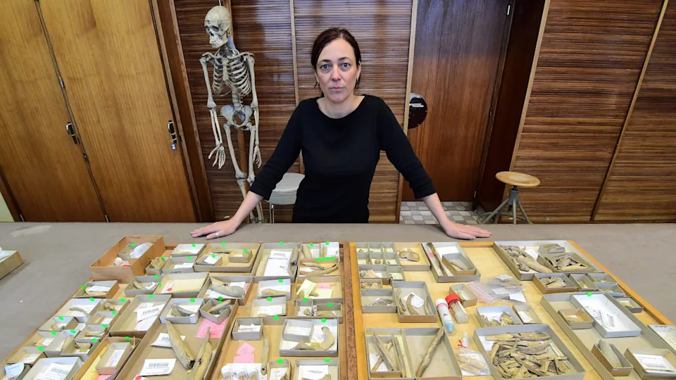 Ten Breakthrough Neanderthal Discoveries of 2025 — What They Reveal About Human Origins