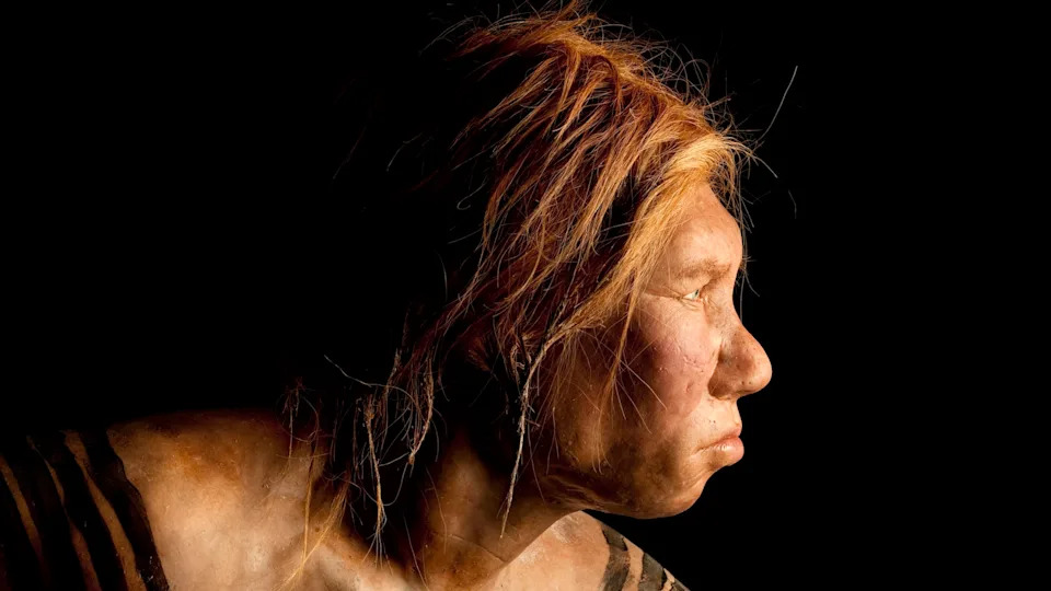 Ten Breakthrough Neanderthal Discoveries of 2025 — What They Reveal About Human Origins