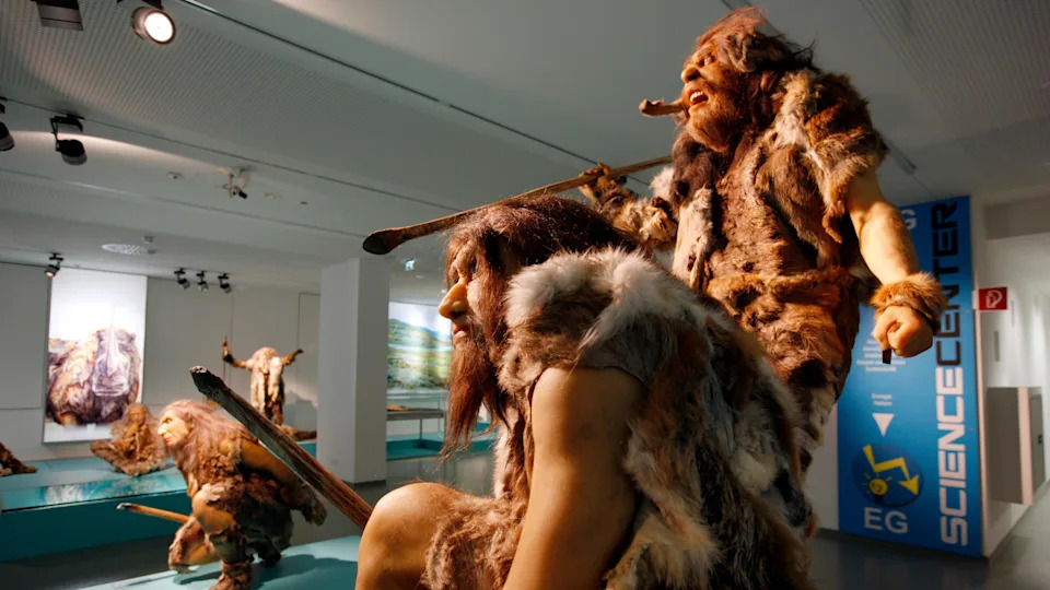 Ten Breakthrough Neanderthal Discoveries of 2025 — What They Reveal About Human Origins