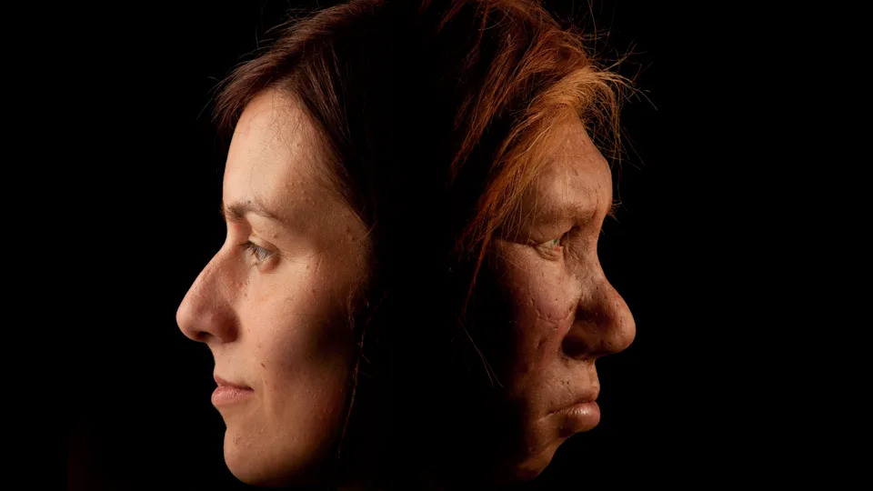 Ten Breakthrough Neanderthal Discoveries of 2025 — What They Reveal About Human Origins
