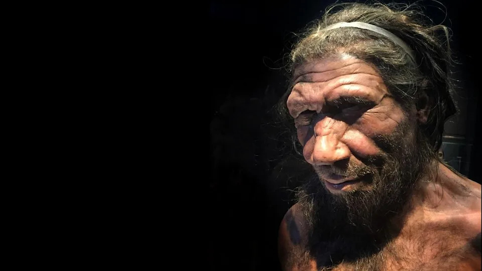 Ten Breakthrough Neanderthal Discoveries of 2025 — What They Reveal About Human Origins