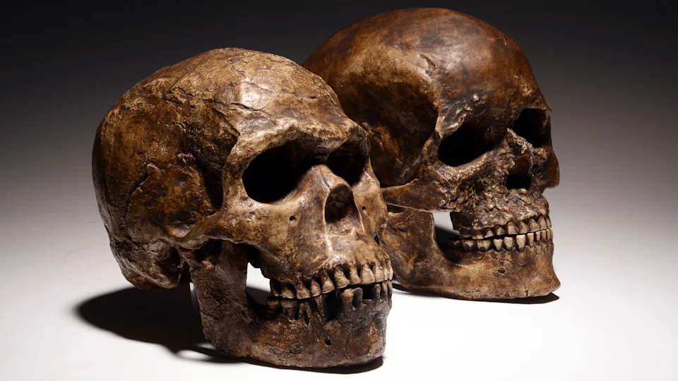 Ten Breakthrough Neanderthal Discoveries of 2025 — What They Reveal About Human Origins