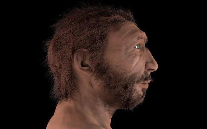 Goyet Cave Bones Suggest Cannibalism — Neanderthal Infants and Young Women Among Victims