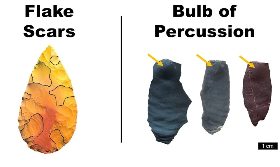 Stone Tool or Just a Rock? How Archaeologists Tell the Difference