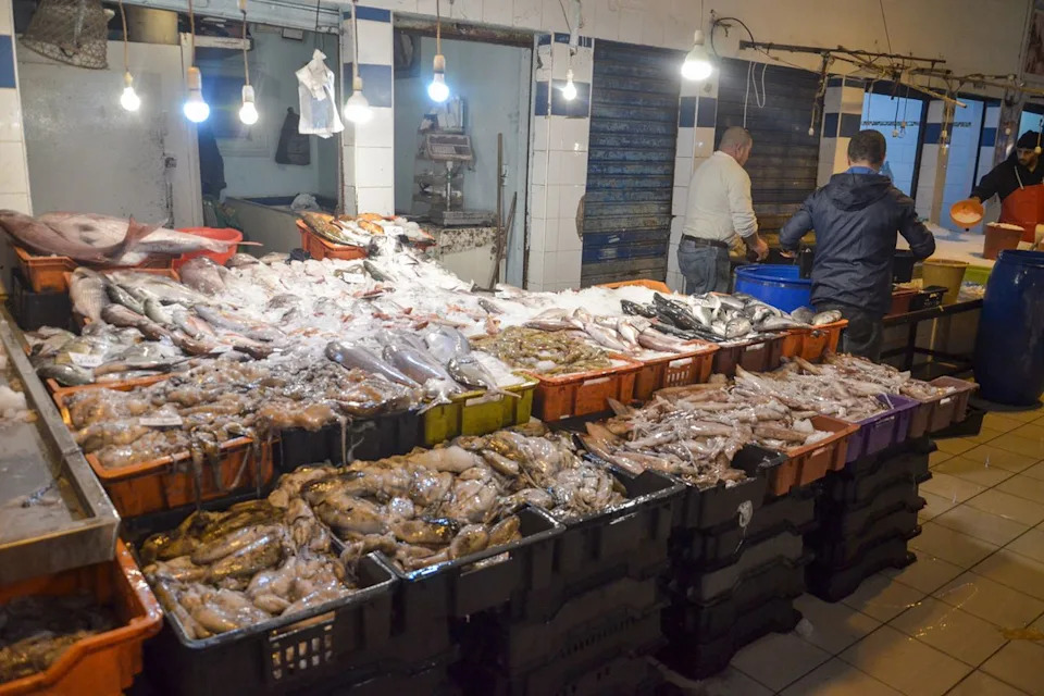 Great White Sharks Teeter On The Brink In The Mediterranean — Researchers Warn Of Possible Extinction