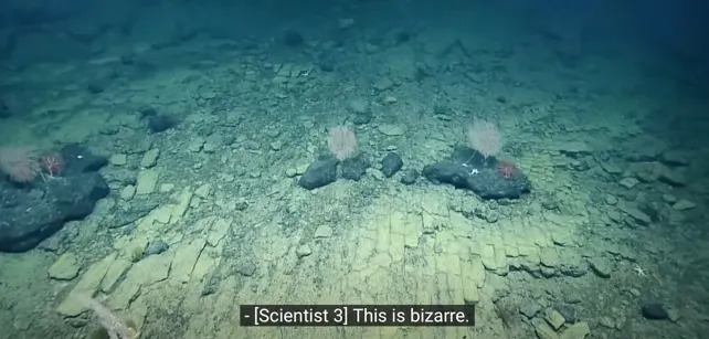 Scientists Find a Deep‑Sea 'Yellow Brick Road' — Volcanic Rock Cracks Into Brick‑Like Tiles
