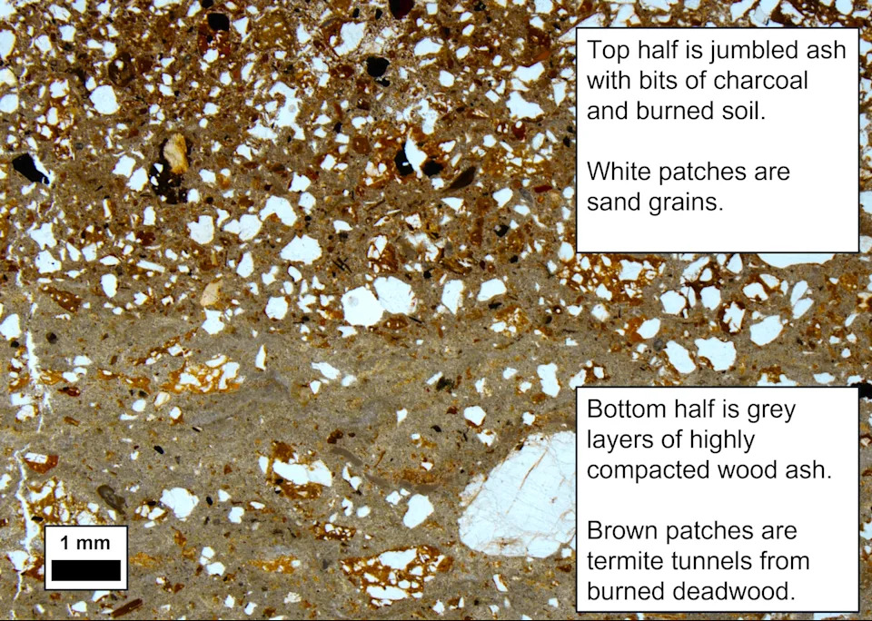 9,500-Year-Old Pyre in Malawi Reveals Unexpected Stone Age Cremation Ritual