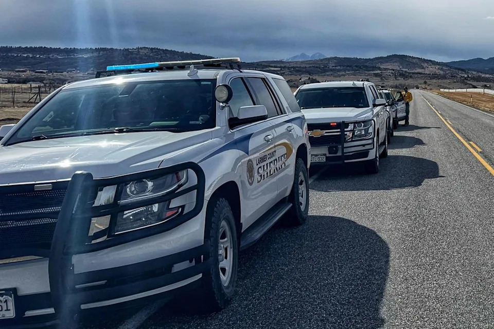 Woman Killed in Suspected Mountain Lion Attack During Solo New Year’s Hike in Colorado