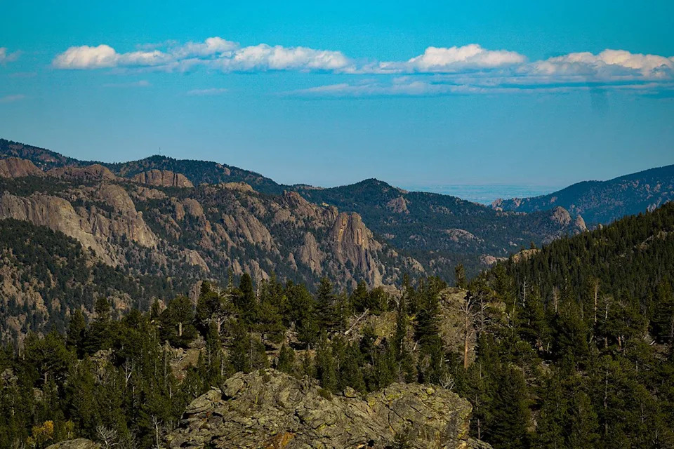 Woman Killed in Suspected Mountain Lion Attack During Solo New Year’s Hike in Colorado