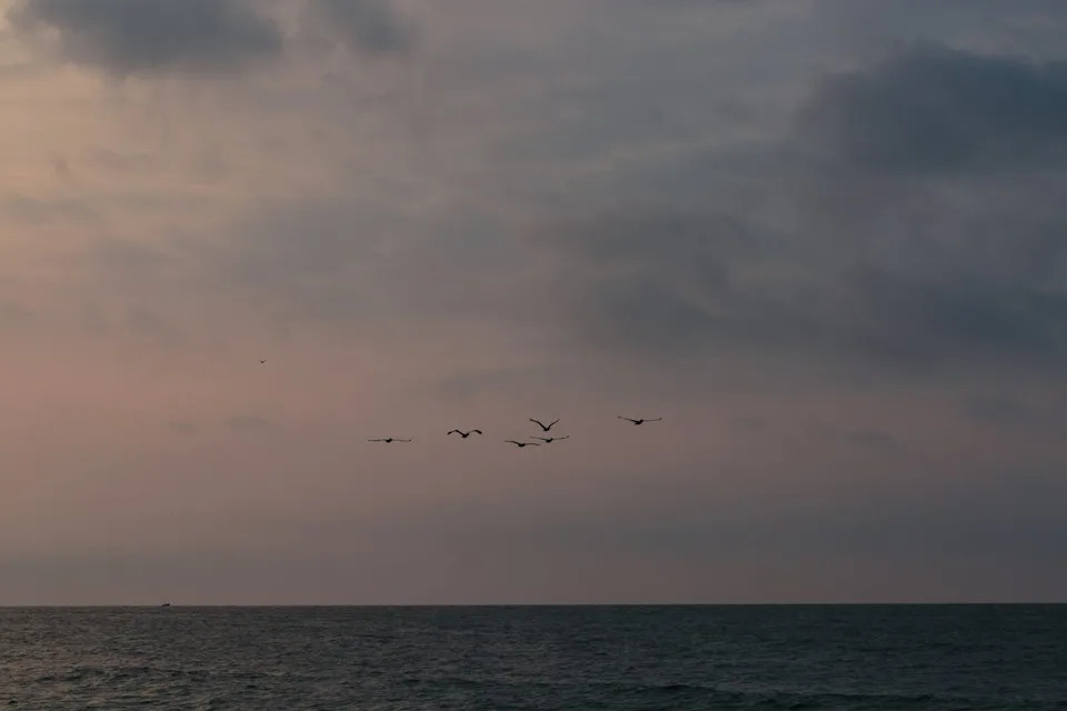 How Pacific Wayfinders Crossed Thousands Of Miles Without Compasses Or GPS