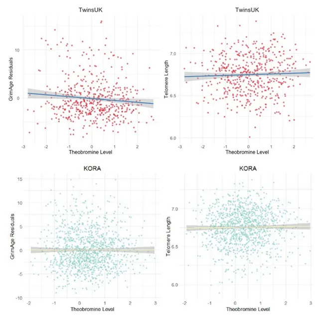 Could Dark Chocolate Slow Aging? Study Links Theobromine To Younger Biological Profile