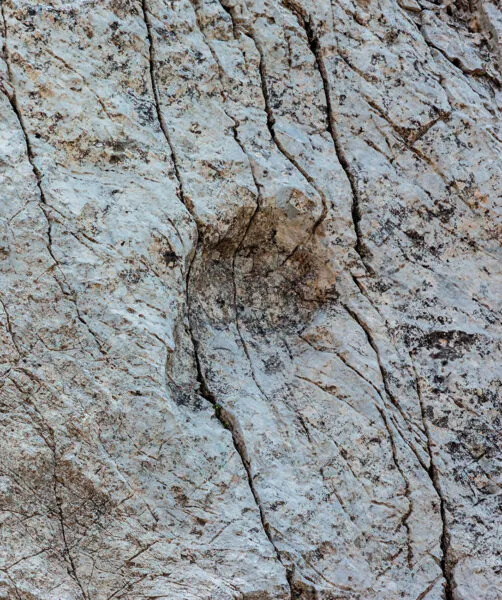 Massive Discovery: 20,000 Triassic Dinosaur Footprints on a Near-Vertical Alpine Cliff