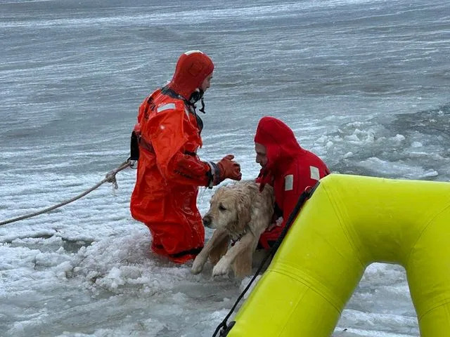 Rhode Island Firefighters Brave Icy Waters to Rescue Dog Who Fell Through Pond Ice