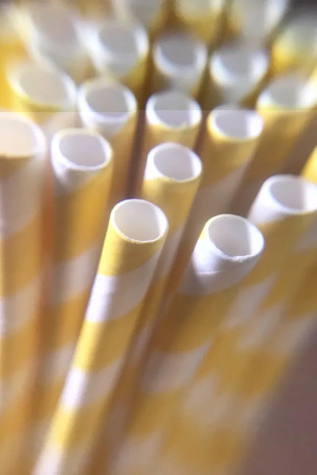 Florida Bill Would Limit Local Paper Straw Bans, Require State Certifications by 2027