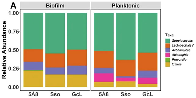 Silencing Bacterial 'Chatter' Could Help Protect Teeth, Study Finds