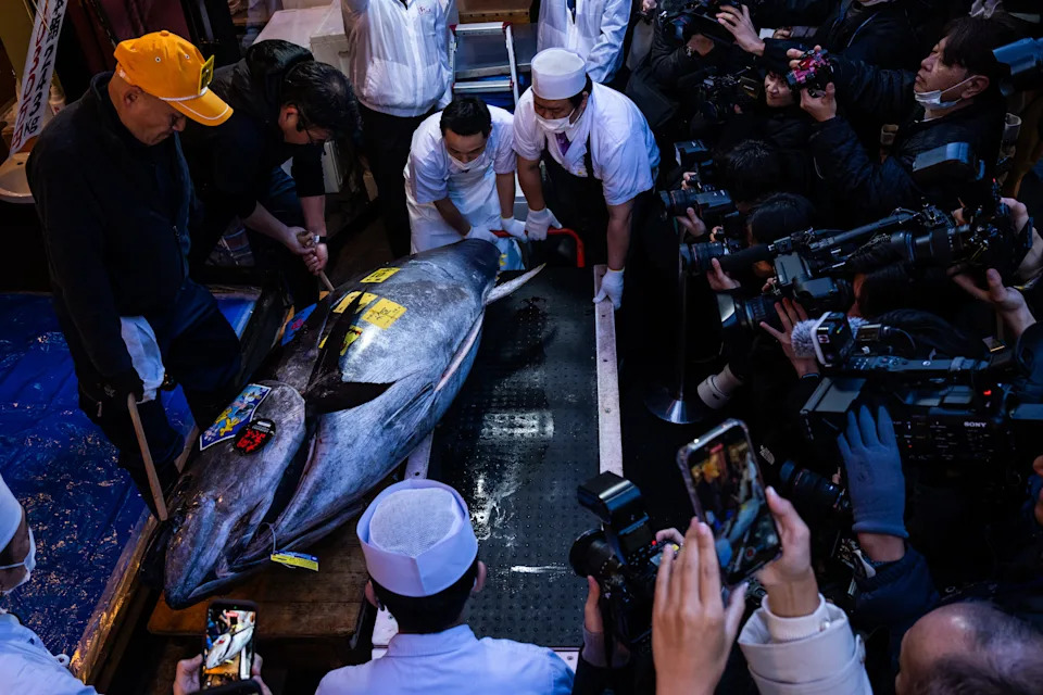 Record-Breaking 243-kg Bluefin Tuna Sells for 510 Million Yen ($3.2M) at Tokyo's First 2026 Auction