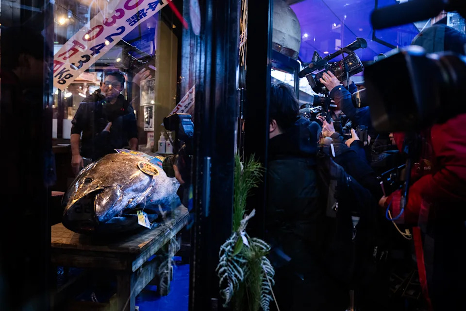 Record-Breaking 243-kg Bluefin Tuna Sells for 510 Million Yen ($3.2M) at Tokyo's First 2026 Auction