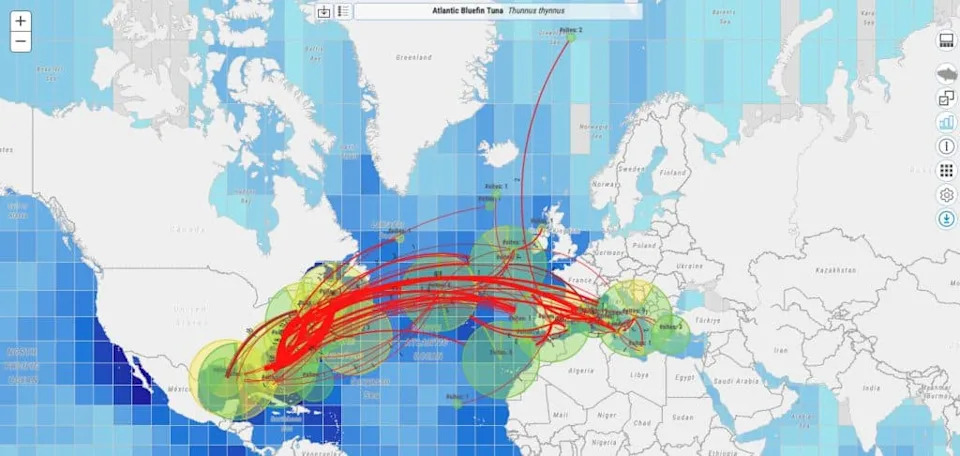 Inside MiCO: The Interactive Map Linking 109 Marine Species and 1,787 Critical Sites