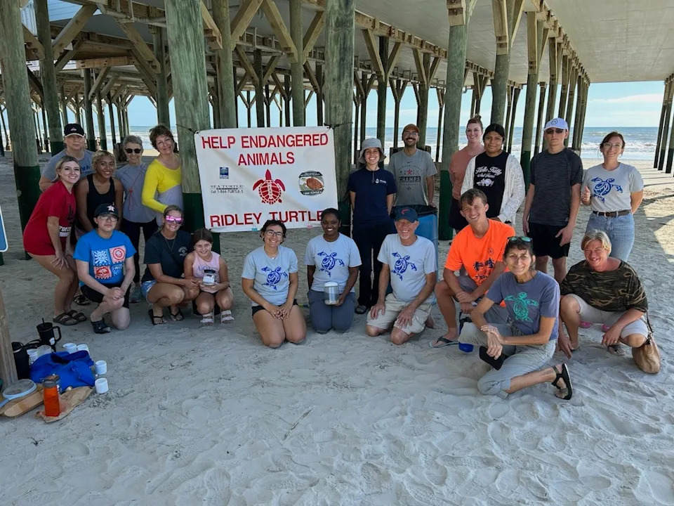 Tiny Plastic Pellets — “Nurdles” — Are Fouling U.S. Coasts: Communities Push for Laws and Lawsuits