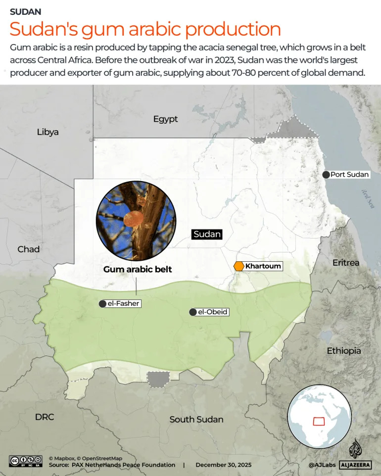 How Gum Arabic Is Fueling Sudan’s War: The Hidden Commodity Powering the RSF