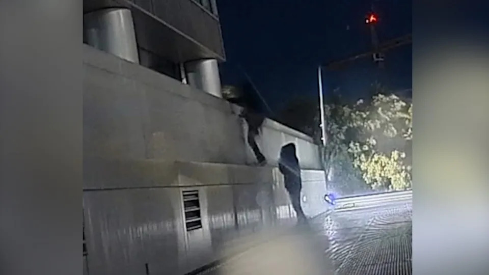 Irvine Police Arrest Two After Nearly $100K Luxury Handbag Heist Caught on Video