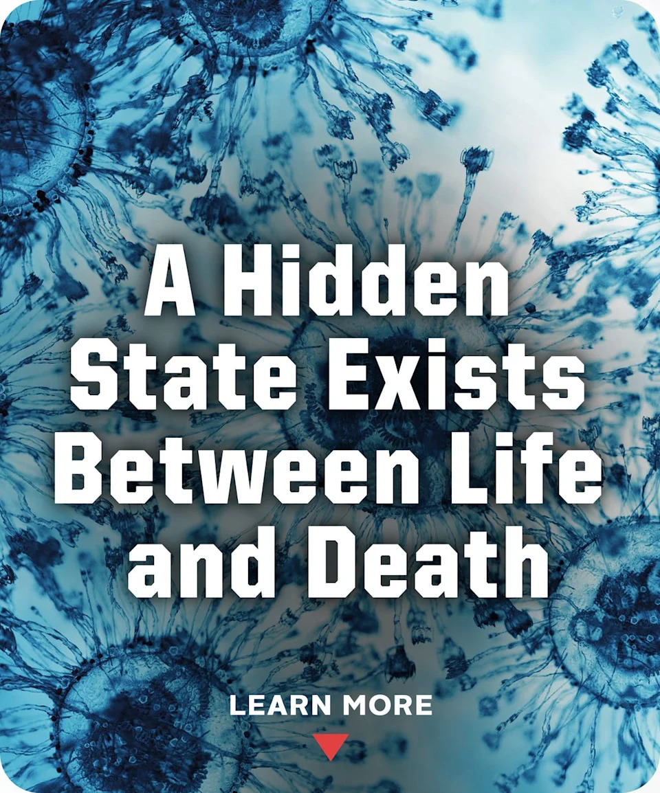 Smiling Medusa Found in Roman Forum at Amasra — A Rare Symbol of Peace and Prosperity