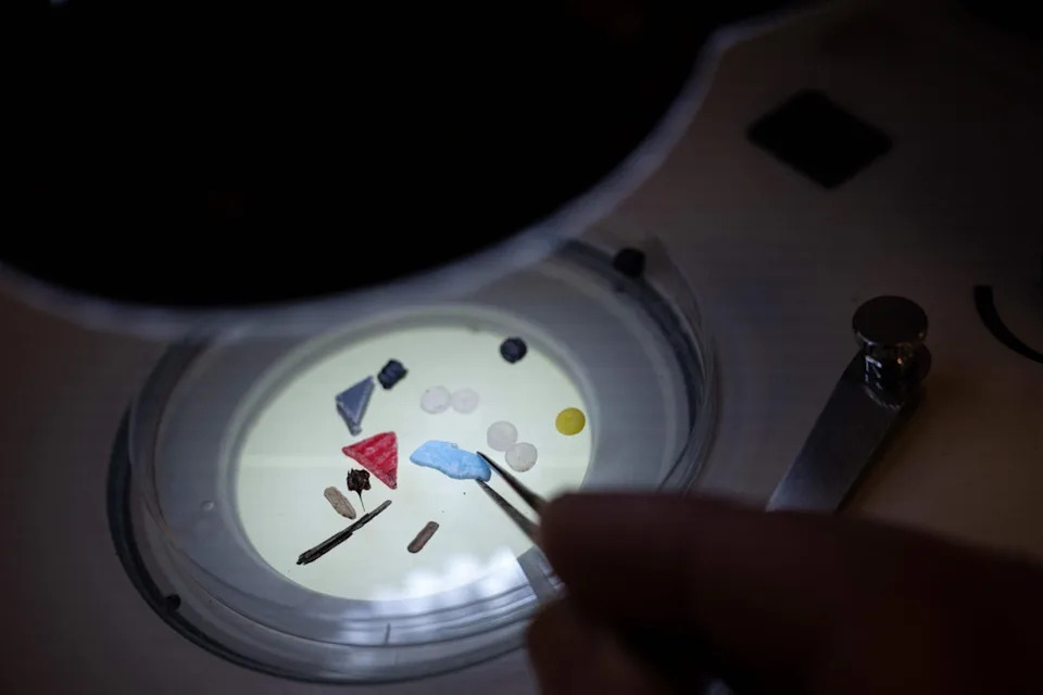 Study: Microplastics Are Undermining Oceans’ Ability To Absorb CO2