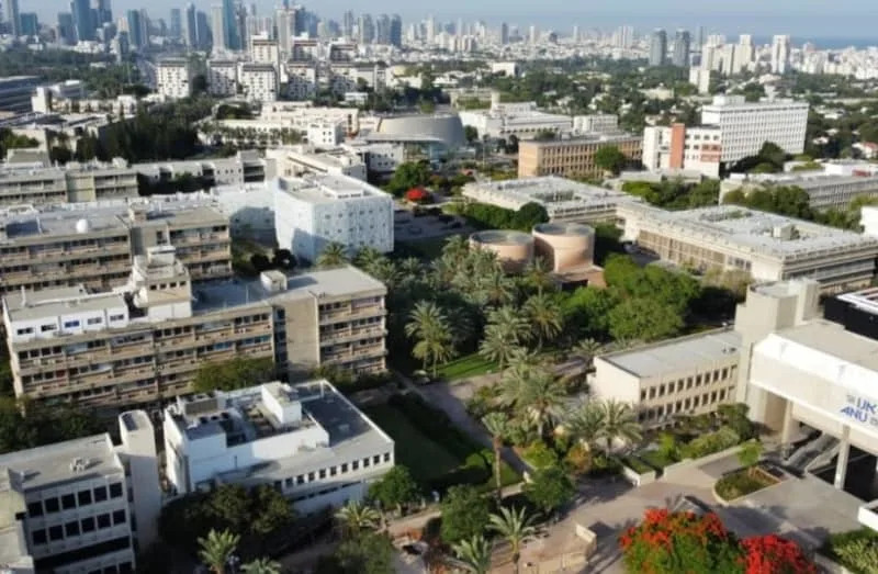 Your Face Decides Before You Do: Subtle Mimicry Predicts Choices, Study Finds