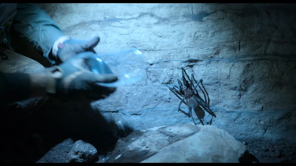 Will Smith Joins Scientists in Ecuador’s Tayos Cave to Collect Giant Tarantulas and Search for Drug-Bearing Venoms