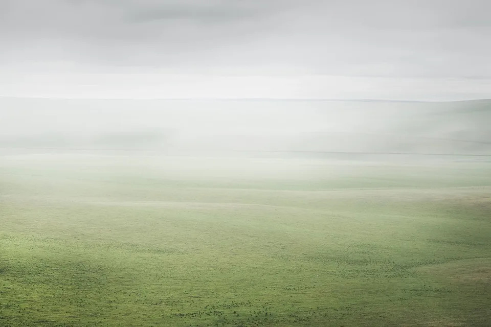 Fog Harvesting Could Become a Viable Water Supplement for Arid Coastal Cities, Study Finds