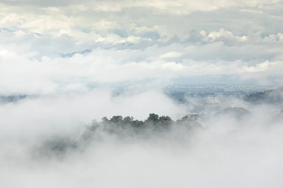 Fog Harvesting Could Become a Viable Water Supplement for Arid Coastal Cities, Study Finds