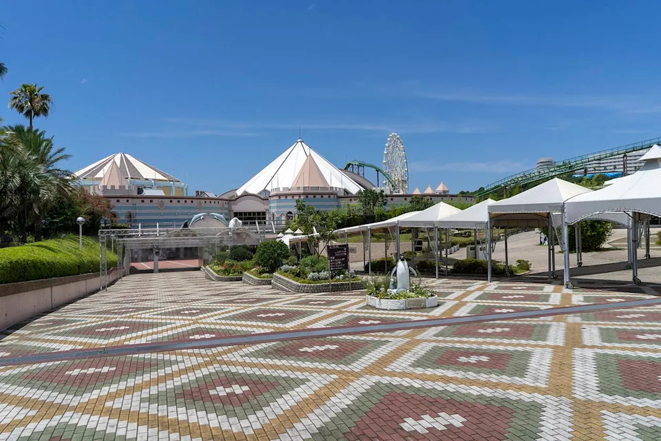 “Panda Love Club”: Zoo Staff Dress As Pandas And Are Fed By Visitors After Japan’s Pandas Return To China